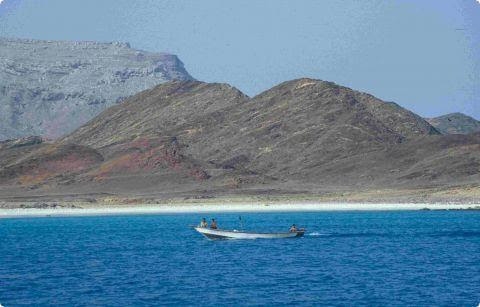 شاهد صور صادمة مسربة من سقطرى تستفز الملايين