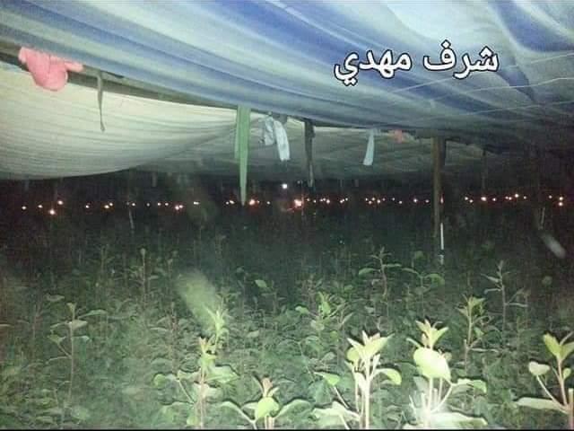 ايقاد آلاف الشموع بصنعاء ليلة الكريسماس (صور+فيديو)