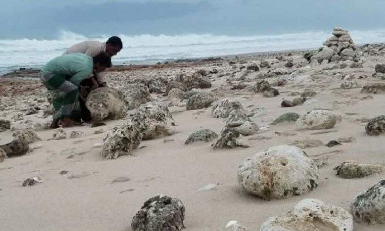 الامارات تستفز اليمنيين مجددا (صور)