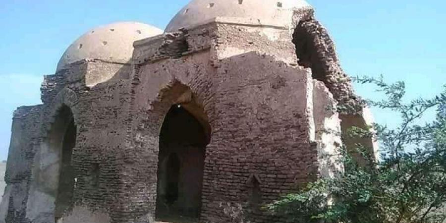 تنظيم 