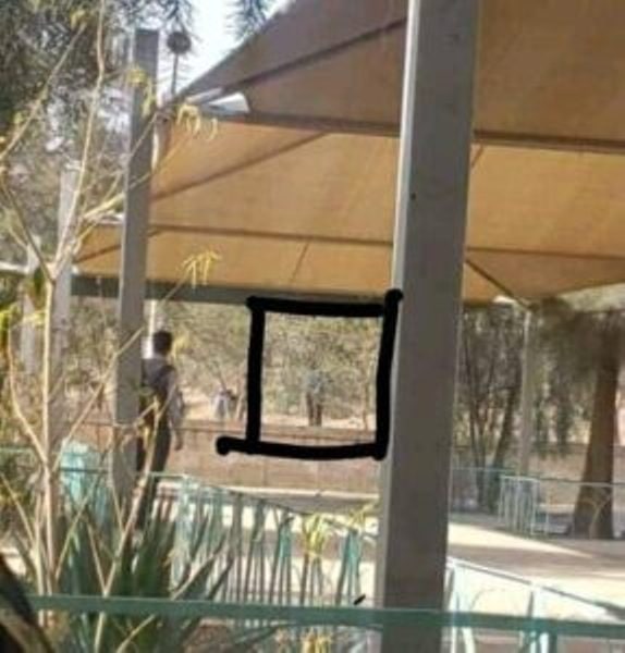 تفاصيل انتحار طالب من تعز في جامعة صنعاء (صور)