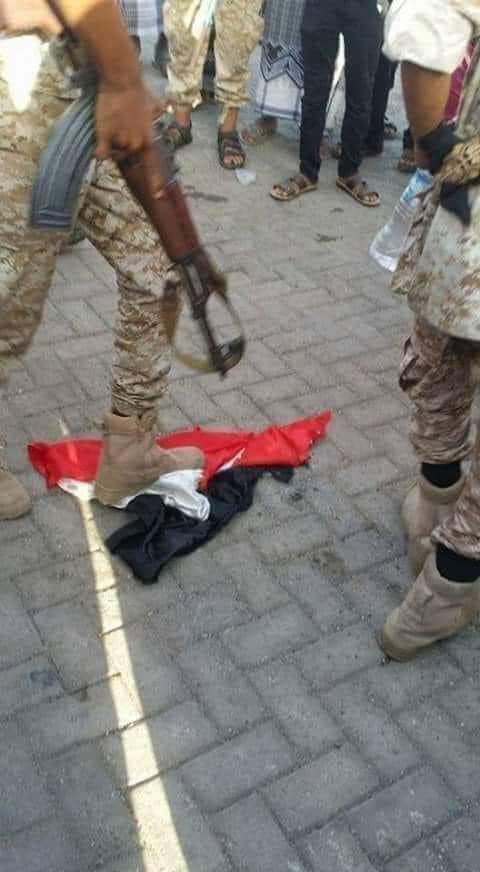 شاهد رد 