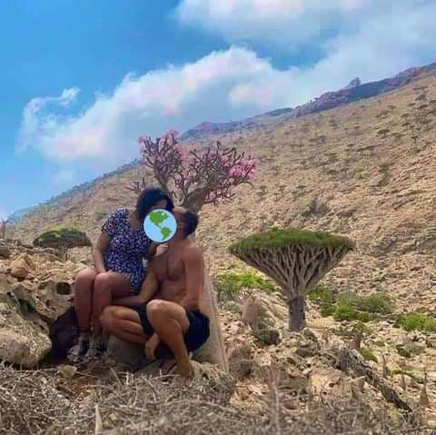 شاهد صور صادمة مسربة من سقطرى (لن تصدق)