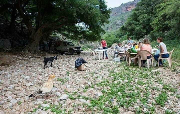 شاهد صور صادمة مسربة من سقطرى (لن تصدق)