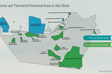 ازمة حدودية سعودية اماراتية تنذر بحرب (وثيقة)