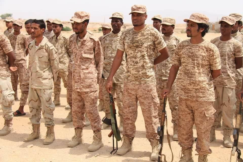شاهد .. 