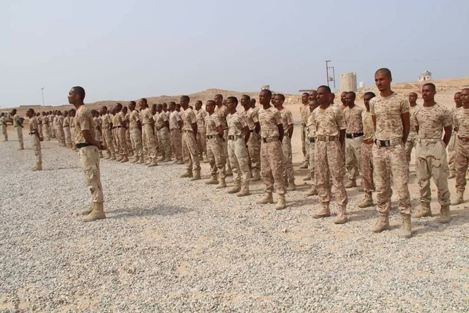 شاهد .. 