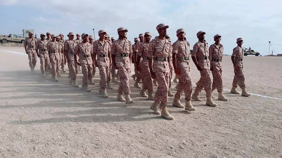 شاهد .. 