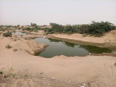 جبهة كبرى جديدة تهدد مارب وسكانها (صور)